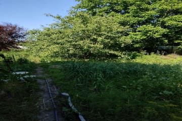 Фото №4: Земельный участок 5.97 сот. - Елизаветинская, ст Орбита, ул. Земляничная, 182