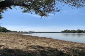 Фото №3: Земельный участок 6.93 сот. - Козет, 