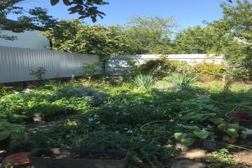 Фото №2: Дом 85 м² - Солнечное, мкр. Прикубанский внутригородской округ, ул. Ромашковая, 65