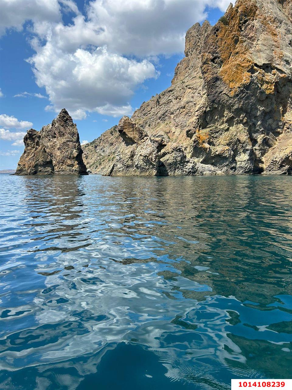Фото №5: Личное подсобное хозяйство 7 сот. - Республика Крым Кировский район