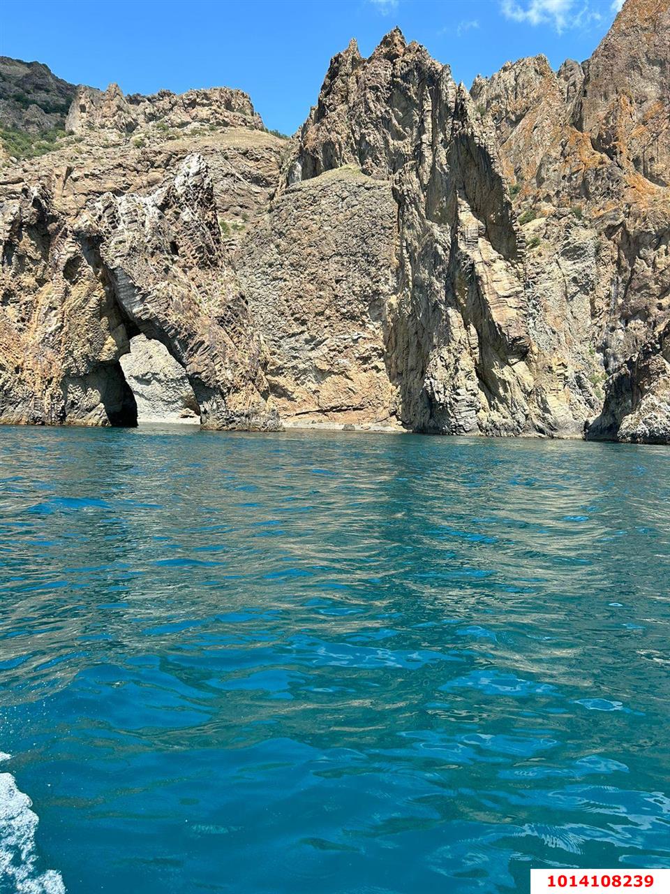 Фото №2: Личное подсобное хозяйство 7 сот. - Республика Крым Кировский район