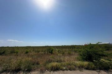 Фото №1: Коммерция 100 м² - Краснодар, мкр. Карасунский внутригородской округ, 