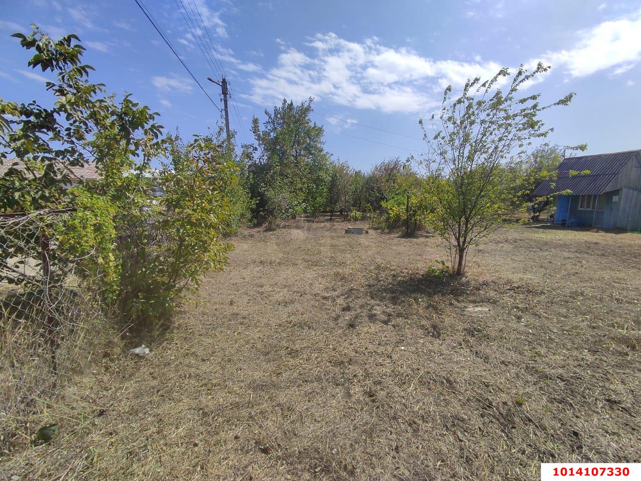 Фото №2: Личное подсобное хозяйство - Пилот, мкр. Прикубанский внутригородской округ, ул. Кедровая