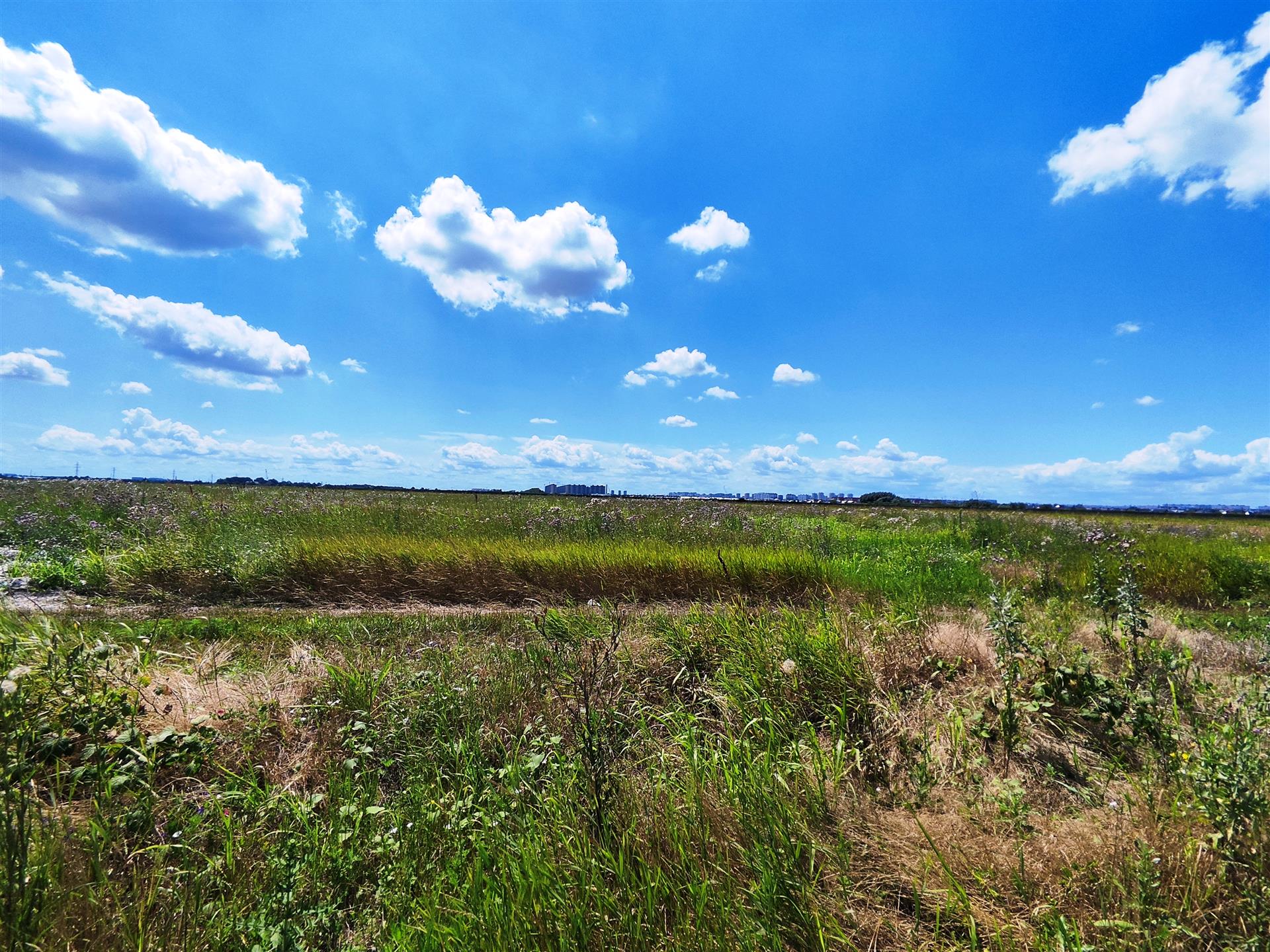 Фото №5: Земельный участок 6.07 сот. - Краснодар, мкр. Прикубанский внутригородской округ, ул. Золотая