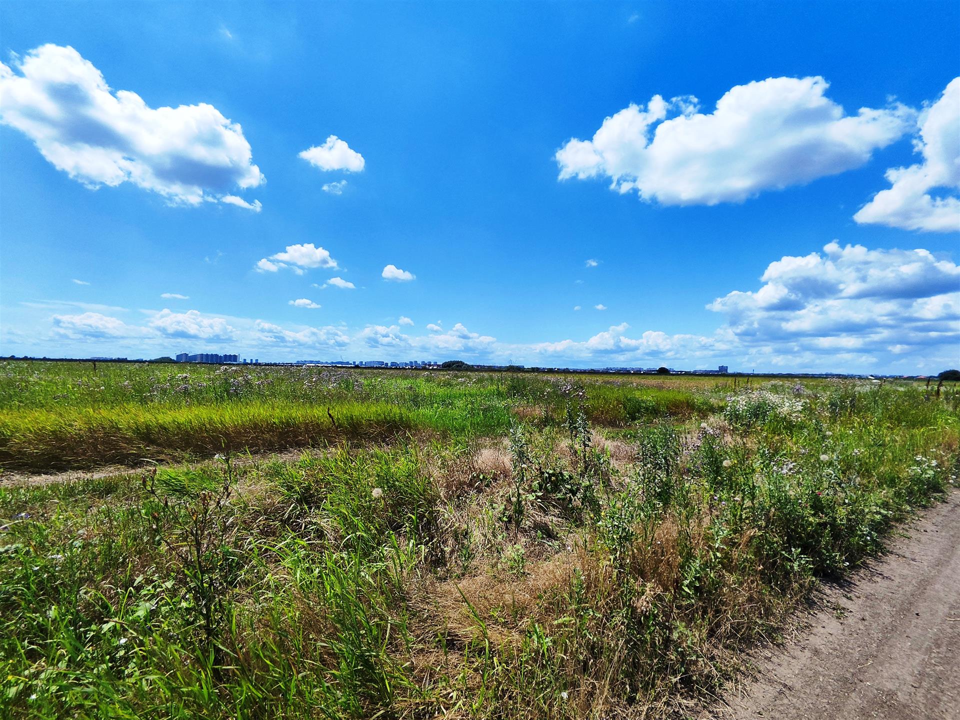 Фото №4: Земельный участок 6.07 сот. - Краснодар, мкр. Прикубанский внутригородской округ, ул. Золотая