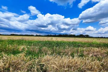 Фото №3: Земельный участок 6.07 сот. - Краснодар, мкр. Прикубанский внутригородской округ, ул. Золотая