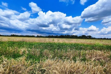 Фото №3: Земельный участок под ИЖС 6.07 сот. - Краснодар, мкр. Прикубанский внутригородской округ, ул. Золотая