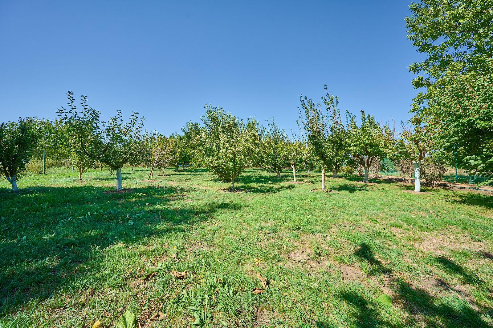 Фото №26: Дом 220 м² + 34.6 сот. - Пластуновская, Прикубанский внутригородской округ, Завод Радиоизмерительных Приборов, Музыкальный, мкр. жилой комплекс Жемчужина, ул. Верхненабережная, 46