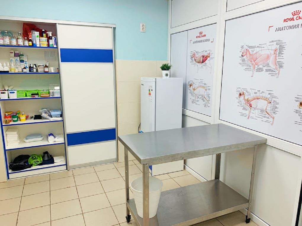 Фото №8: Коммерция 147 м² - Краснодар, Карасунский внутригородской округ, мкр. Черёмушки, ул. Селезнёва, 4/6