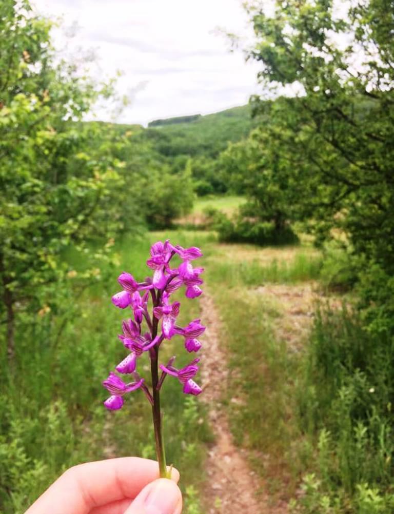 Фото №7: Коммерция 140 м² - Ильский, ул. Кавказская, 34А