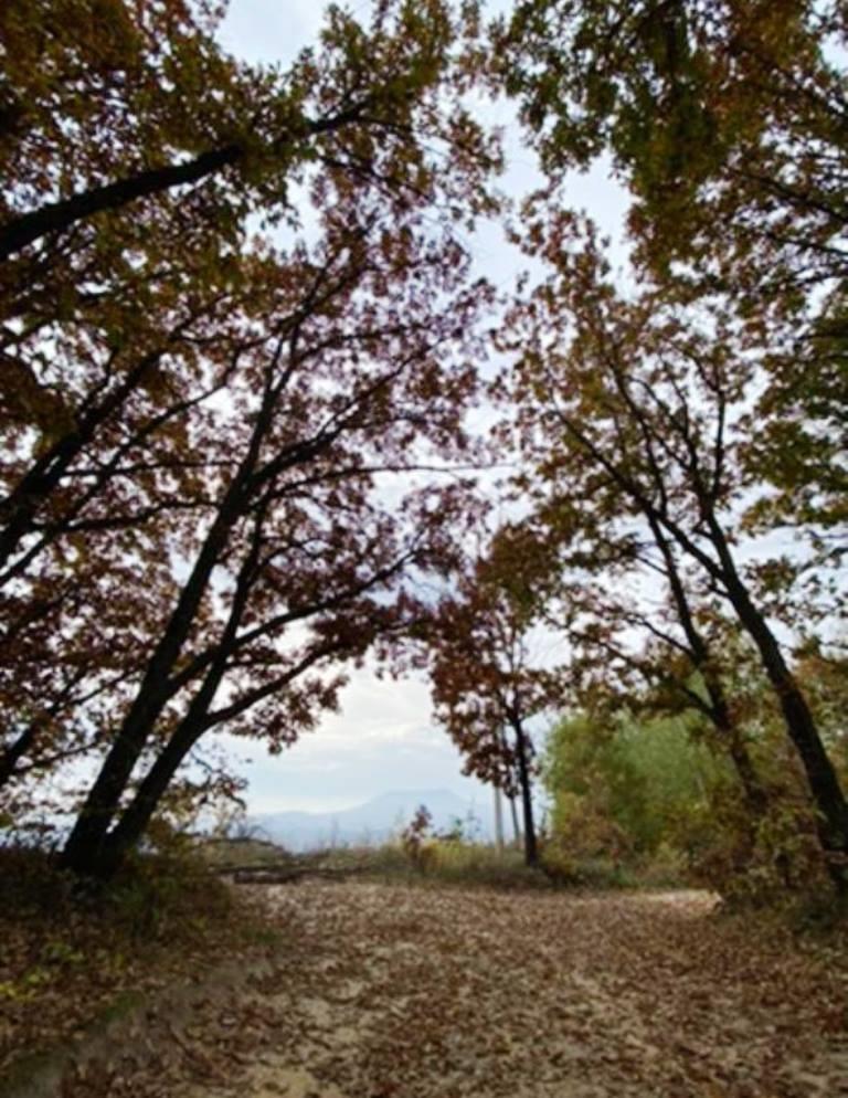 Фото №4: Коммерция 140 м² - Ильский, ул. Кавказская, 34А