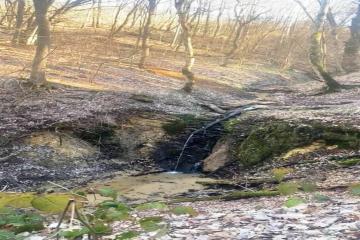 Фото №1: Коммерция 140 м² - Ильский, ул. Кавказская, 34А