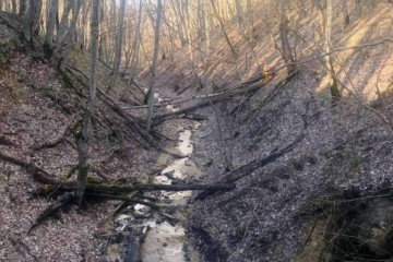 Фото №2: Коммерческая земля 140 сот. - Ильский, ул. Кавказская, 34А