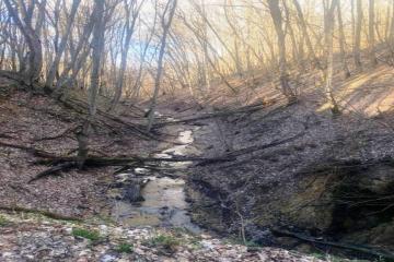 Фото №2: Коммерция 140 м² - Ильский, ул. Кавказская, 34А