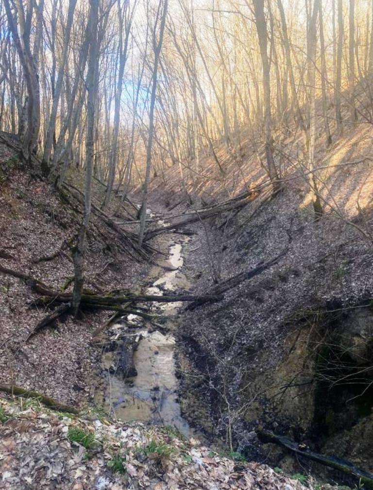 Фото №2: Коммерция 140 м² - Ильский, ул. Кавказская, 34А