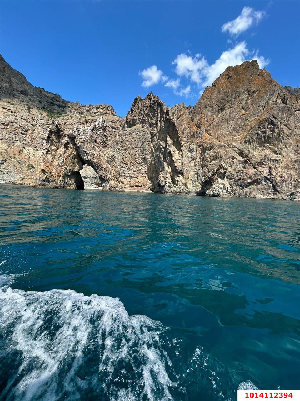 Фото №8: Личное подсобное хозяйство 7 сот. - Республика Крым Кировский район
