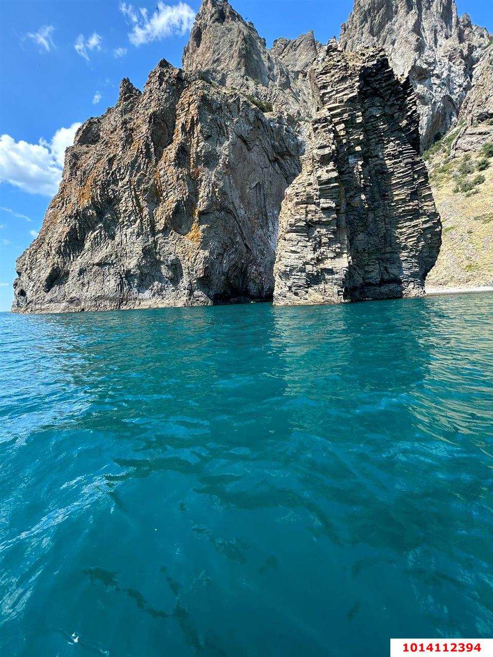 Фото №5: Личное подсобное хозяйство 7 сот. - Республика Крым Кировский район