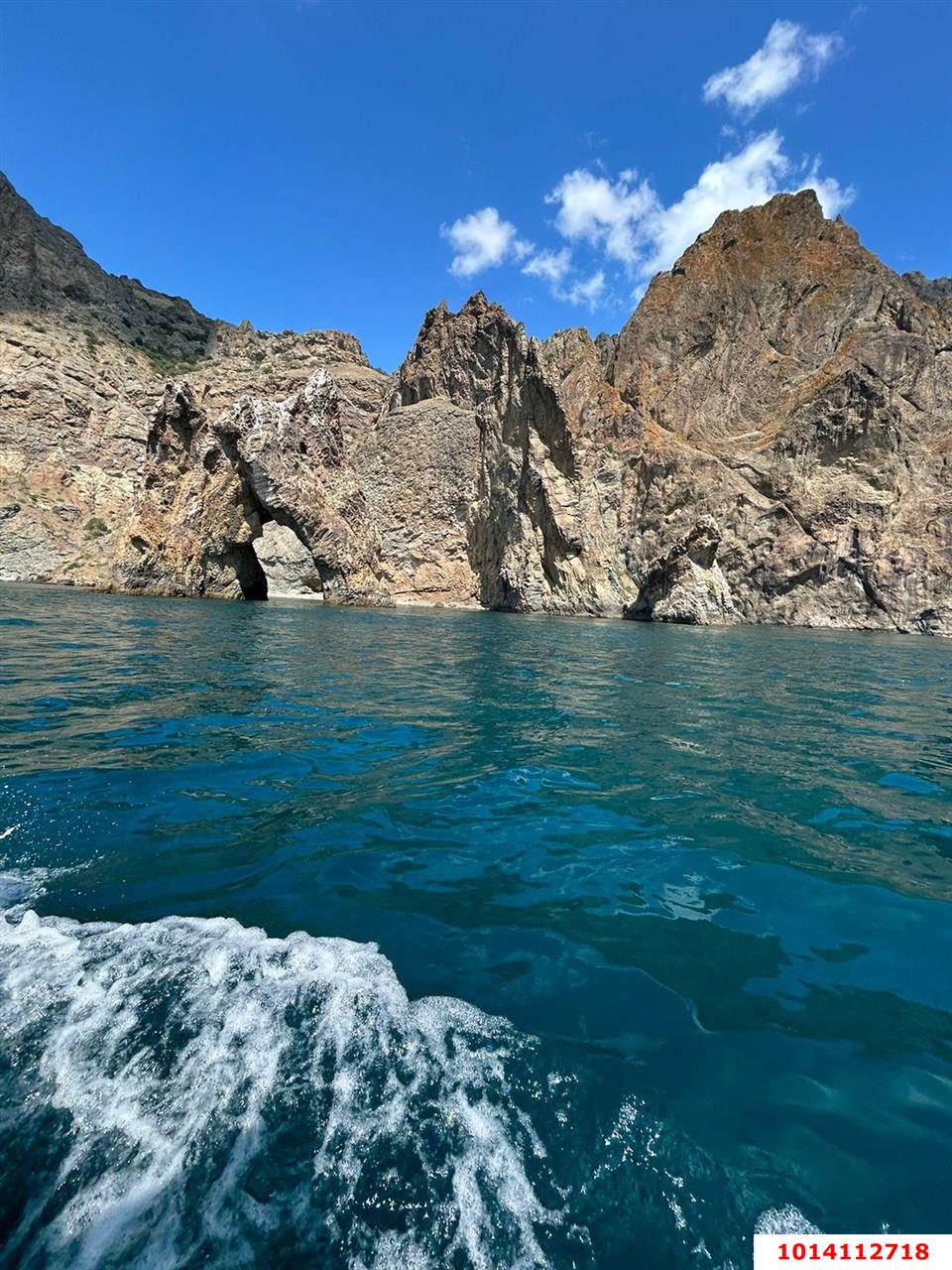 Фото №8: Личное подсобное хозяйство 7 сот. - Республика Крым Кировский район