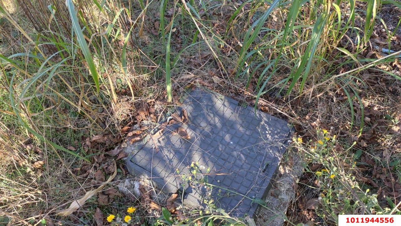 Фото №5: Участок садоводство 6 сот. - с/т Мехзаводское, Прикубанский внутригородской округ, ул. Виноградная