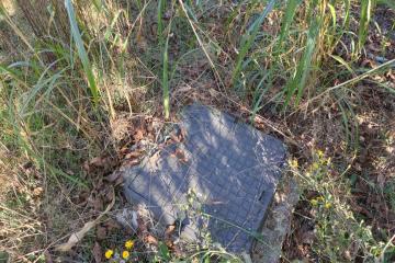 Фото №5: Земельный участок 6 сот. - с/т Мехзаводское, мкр. Прикубанский внутригородской округ, ул. Виноградная