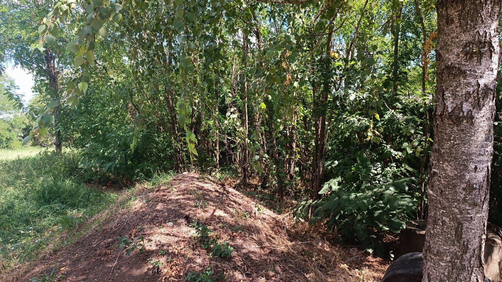 Фото №3: Земельный участок 20 сот. - Новотитаровская, ул. Выгонная, 234