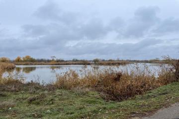 Фото №5: Дом 66 м² - Красносельское, мкр. Восточно-Кругликовский, ул. Российская, 3
