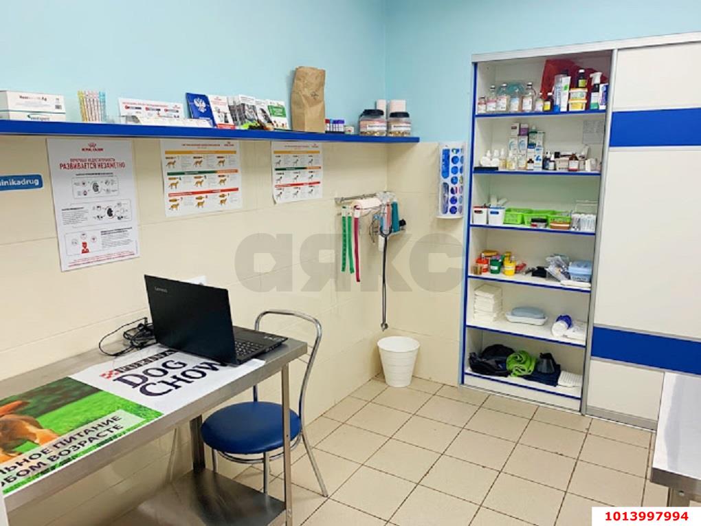 Фото №10: Коммерция 147 м² - Краснодар, Карасунский внутригородской округ, мкр. Черёмушки, ул. Селезнёва, 4/6