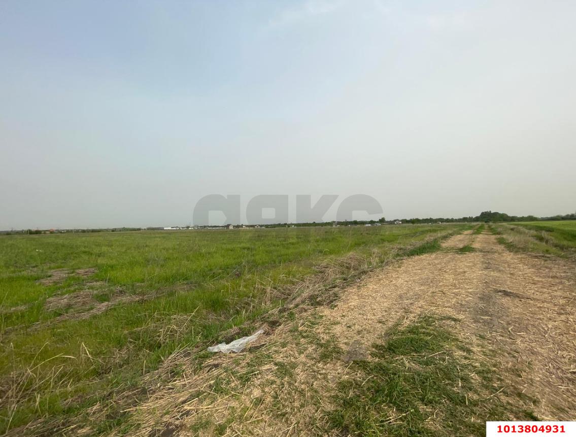 Фото №4: Земельный участок 180 сот. - Краснодар, ул. Спаниельская, 39