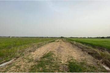 Фото №5: Земельный участок 180 сот. - Краснодар, мкр. Прикубанский внутригородской округ, ул. Спаниельская, 39