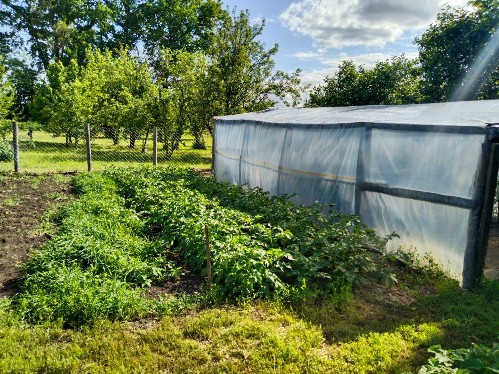 Фото №6: Дом <span class="whitespace-nowrap">161 м²</span> <span class="whitespace-nowrap">+ 12.25 сот.</span>, <span class="whitespace-nowrap">2 эт.</span> - Сад Кубани, мкр. Прикубанский внутригородской округ, ул. Ягодная, 8