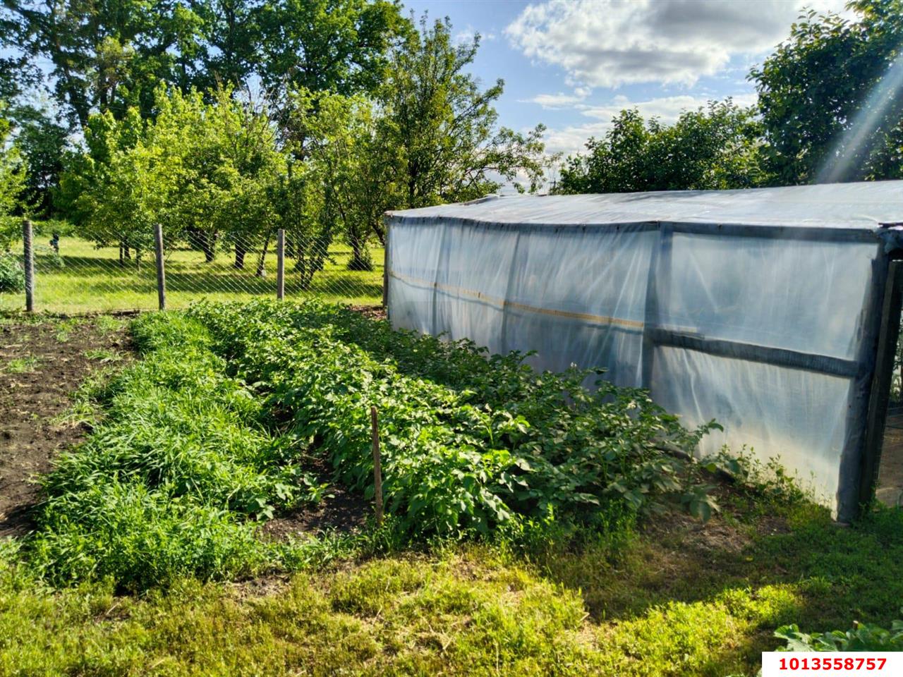 Фото №5: Дом 161 м² + 12.25 сот. - Сад Кубани, Прикубанский внутригородской округ, ул. Ягодная, 8
