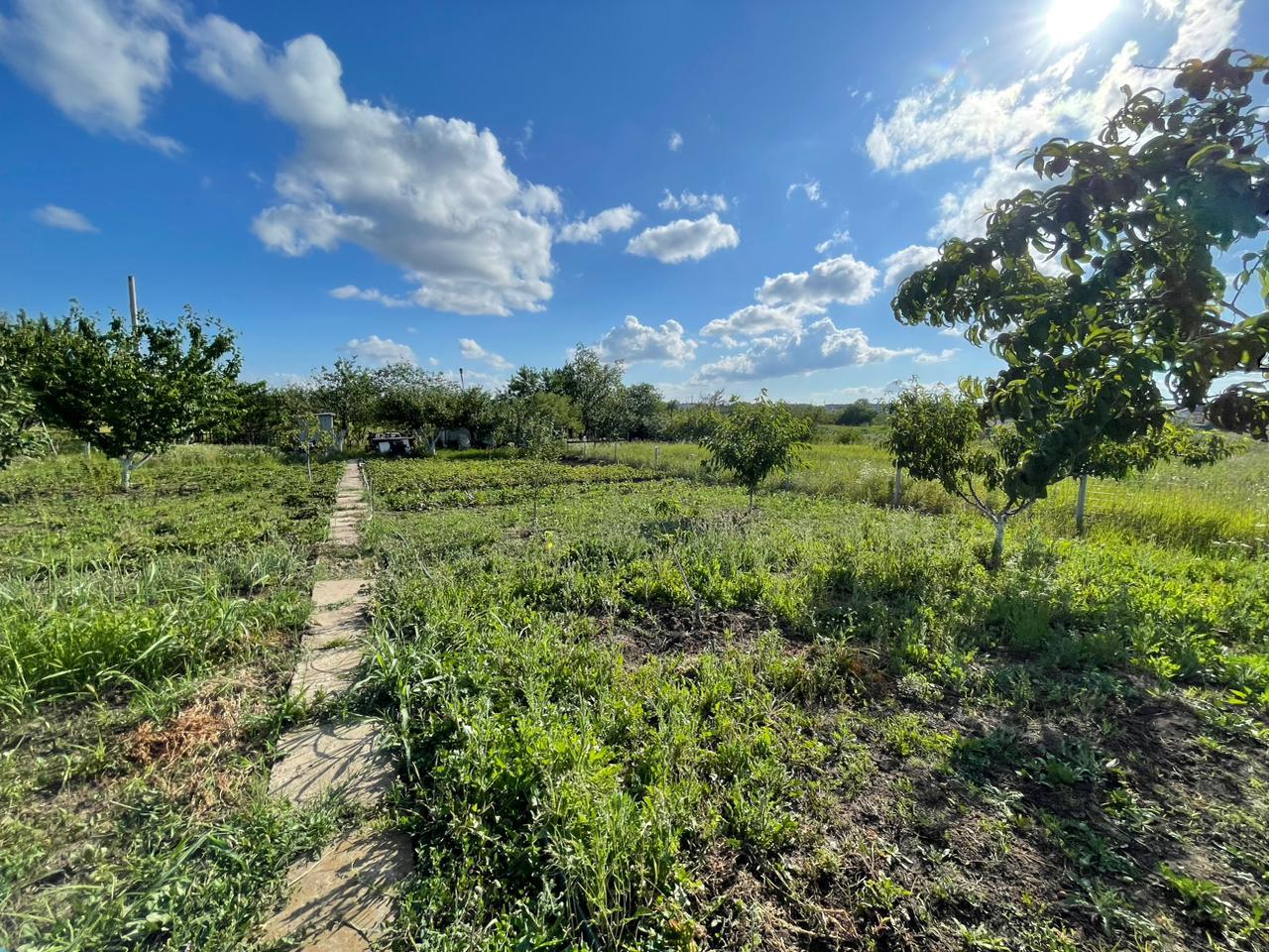 Фото №7: Земельный участок 9.24 сот. - Энем, ул. Вишнёвая, 28