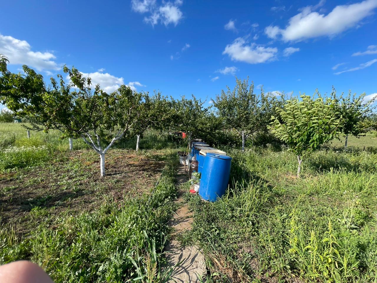 Фото №6: Земельный участок 9.24 сот. - Энем, ул. Вишнёвая, 28