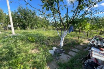 Фото №2: Земельный участок 9.24 сот. - Энем, мкр. СДТ Приозёрное, ул. Вишнёвая, 28