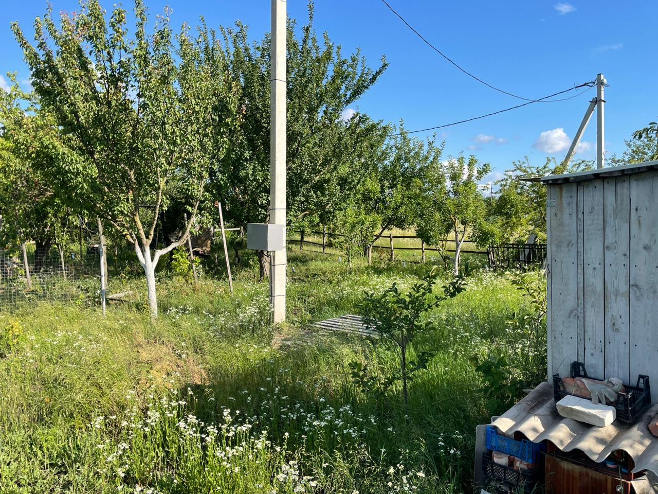 Фото №4: Земельный участок 9.24 сот. - Энем, ул. Вишнёвая, 28