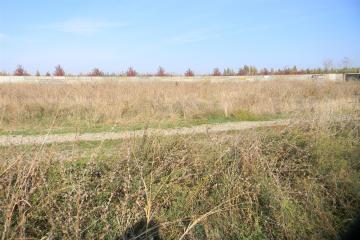 Фото №3: Земельный участок 6.87 сот. - Ленина, п. коттеджный  Зелёная Роща, ул. Кедровая