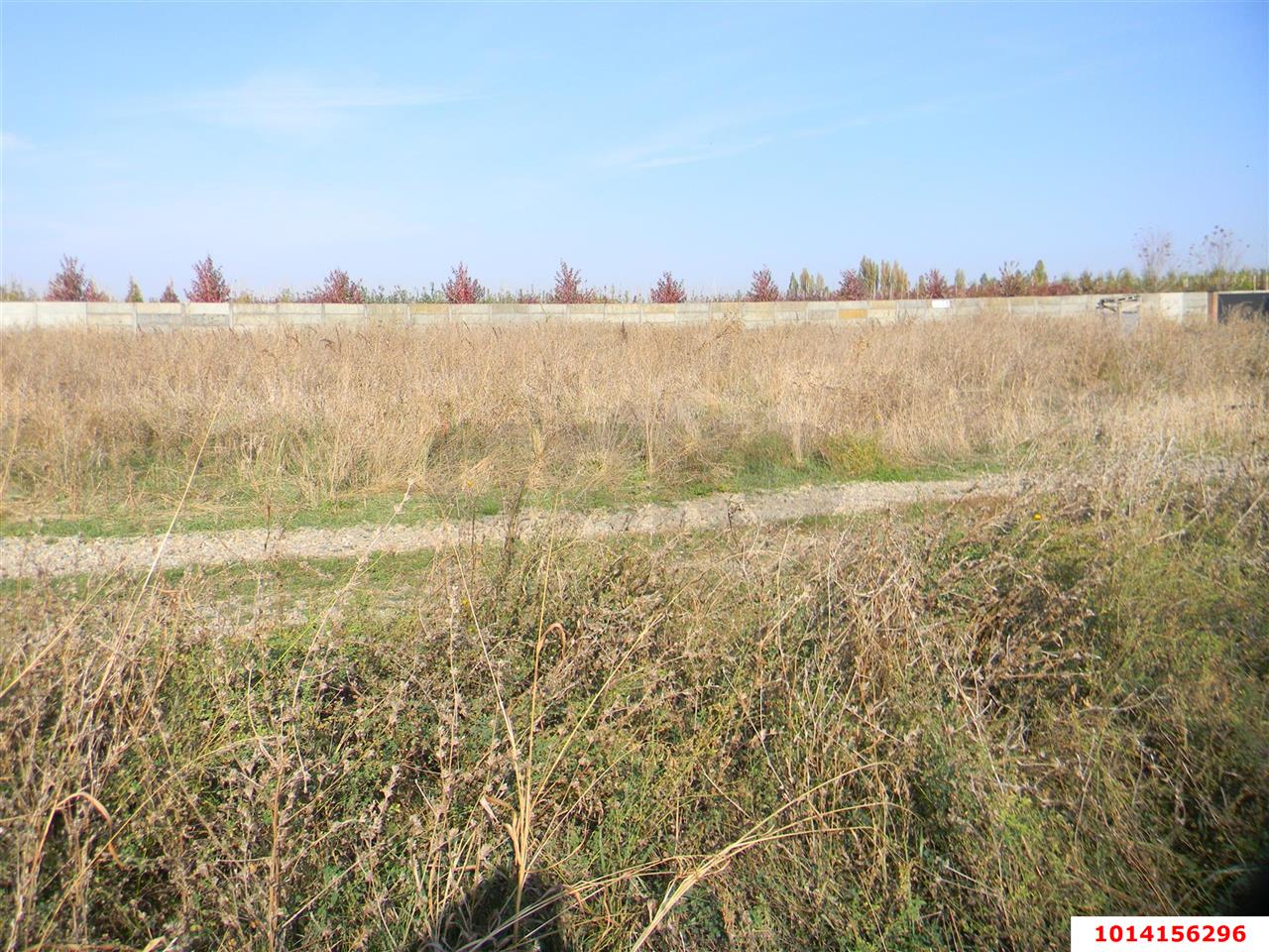 Фото №3: Земельный участок 6.87 сот. - Ленина, Карасунский внутригородской округ, п. коттеджный  Зелёная Роща, ул. Кедровая