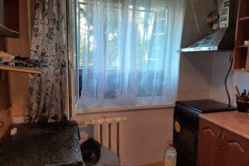 Фото №2: 2-комнатная квартира 44 м² - Краснодар, мкр. Черёмушки, пр-д 1-й Вишнёвый, 11