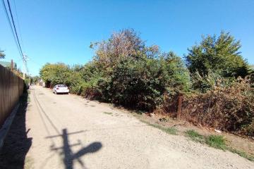 Фото №4: Земельный участок 6 сот. - Краснодар, ст КНИИСХ, ул. Ореховая, 56