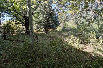 Фото №5: Земельный участок 6 сот. - Краснодар, ст КНИИСХ, ул. Ореховая, 56