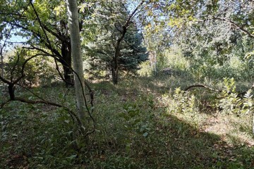 Фото №5: Земельный участок под ИЖС 6 сот. - Краснодар, ст КНИИСХ, ул. Ореховая, 56