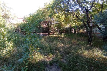 Фото №3: Земельный участок под ИЖС 6 сот. - Краснодар, ст КНИИСХ, ул. Ореховая, 56