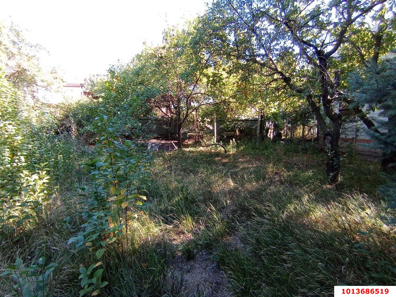 Фото №3: Земельный участок 6 сот. - Краснодар, Прикубанский внутригородской округ, Сады Калинина, ст КНИИСХ, ул. Ореховая, 56