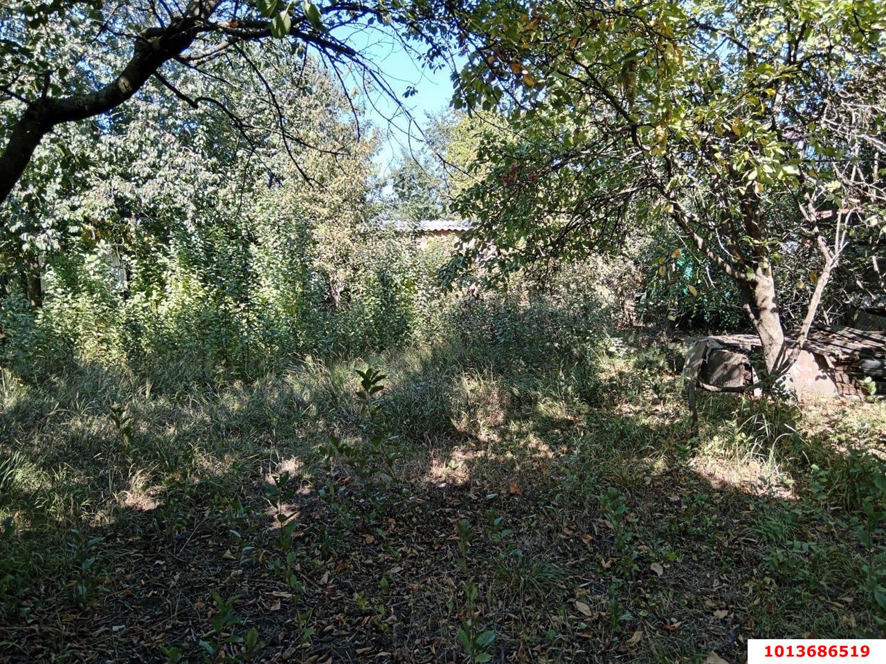 Фото №2: Земельный участок 6 сот. - Краснодар, Прикубанский внутригородской округ, Сады Калинина, ст КНИИСХ, ул. Ореховая, 56