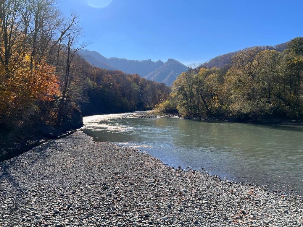 Фото №3: Коммерция 30 м² - Даховская, Прикубанский внутригородской округ, жилой комплекс Западный Город, Восточный, Западный внутригородской округ, Фестивальный, Карасунский внутригородской округ, Гидростроителей, Славянский, мкр. Светлоград, ул. Советская, 20