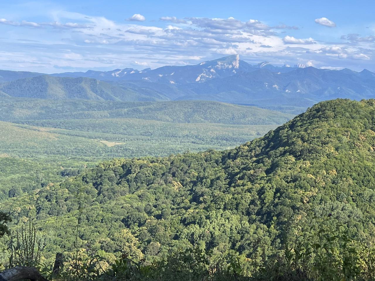 Фото №16: Коммерция 30 м² - Даховская, Прикубанский внутригородской округ, жилой комплекс Западный Город, Восточный, Западный внутригородской округ, Фестивальный, Карасунский внутригородской округ, Гидростроителей, Славянский, мкр. Светлоград, ул. Советская, 20