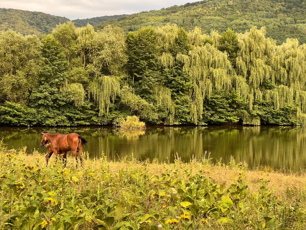 Фото №1: Коммерция 30 м² - Даховская, Прикубанский внутригородской округ, жилой комплекс Западный Город, Восточный, Западный внутригородской округ, Фестивальный, Карасунский внутригородской округ, Гидростроителей, Славянский, мкр. Светлоград, ул. Советская, 20
