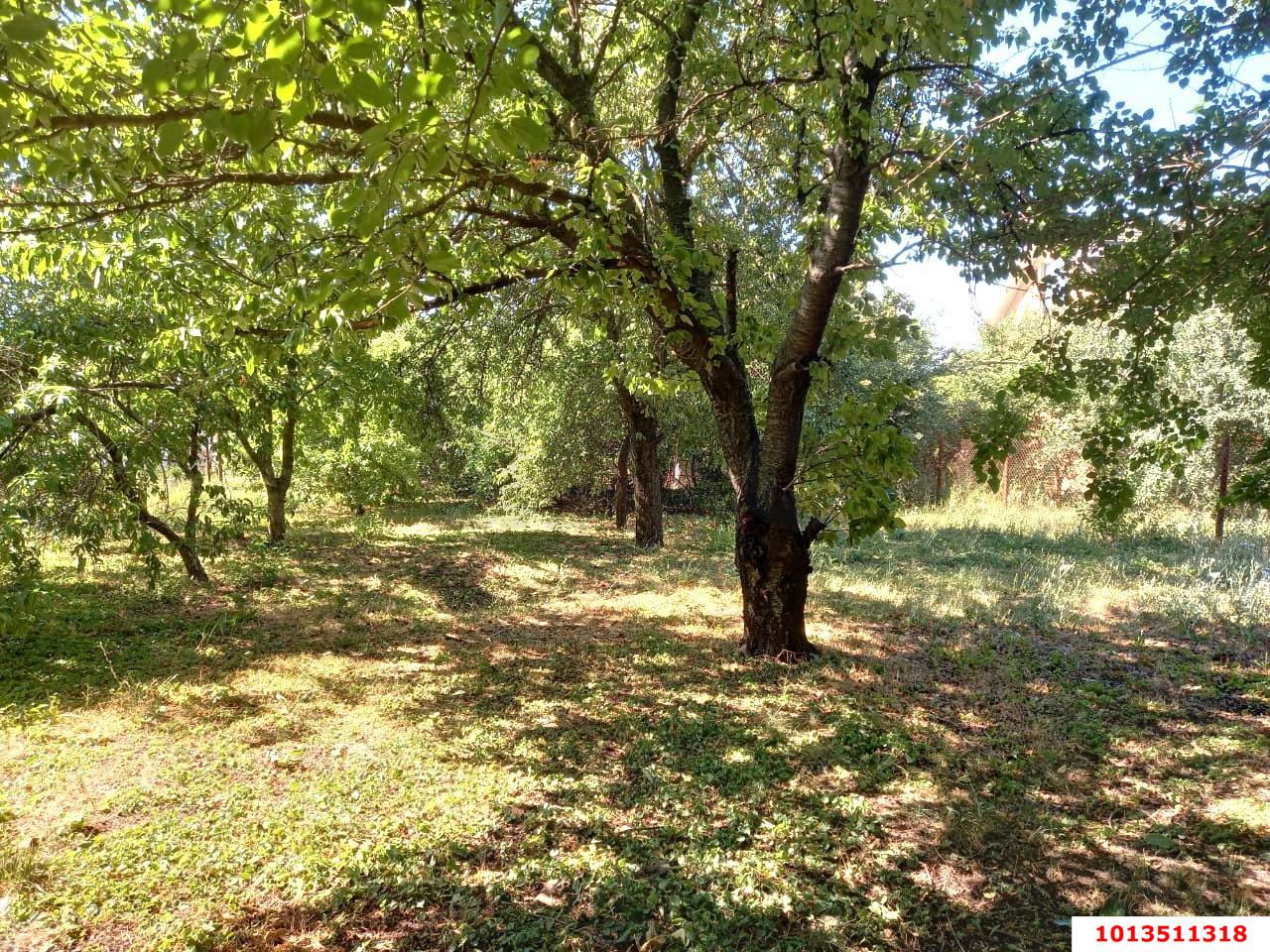 Фото №3: Дом 240 м² + 6 сот. - Знаменский, Карасунский внутригородской округ, ул. Сосновая, 54