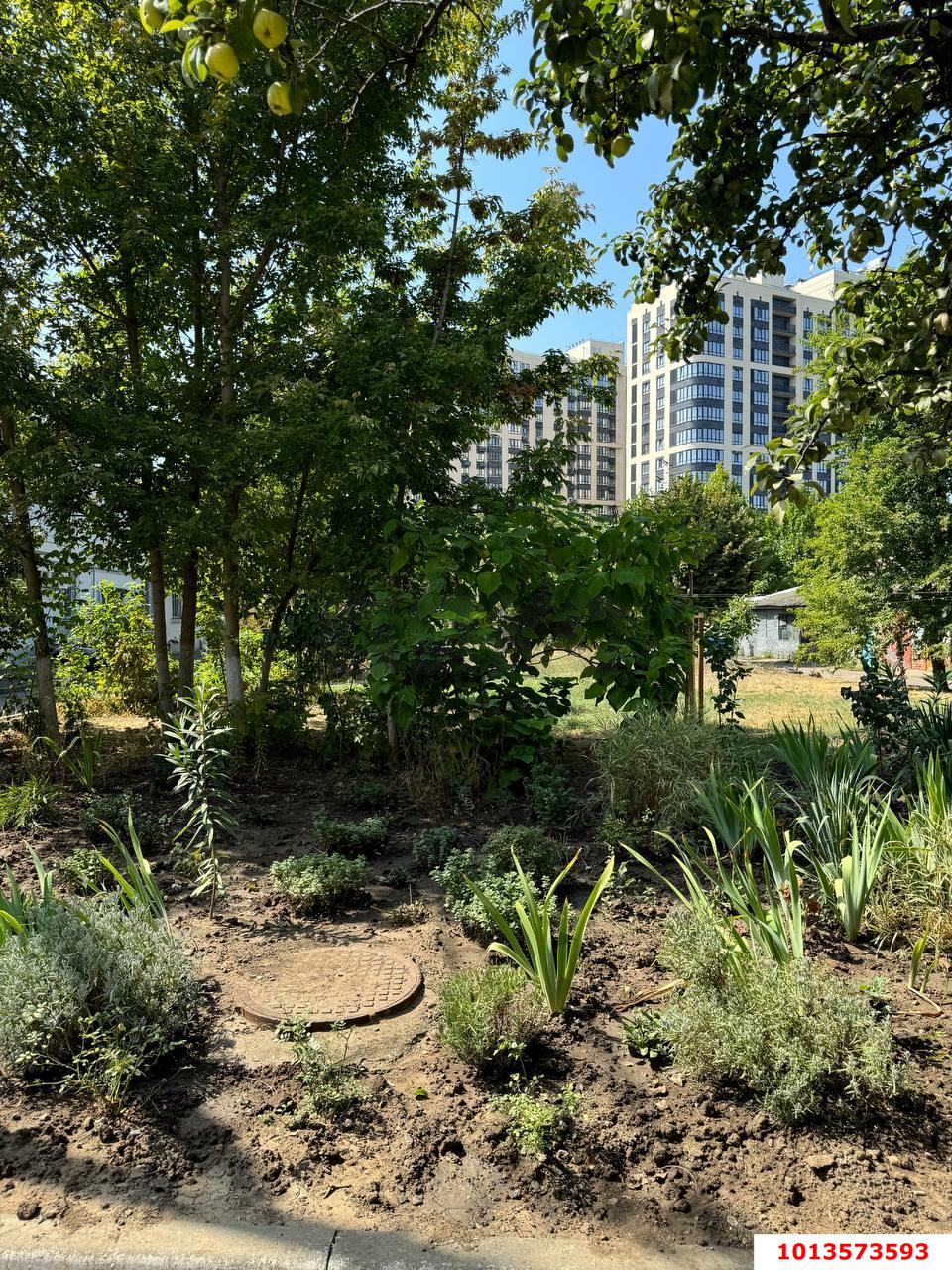 Фото №7: 3-комнатная квартира 63 м² - Краснодар, мкр. Западный внутригородской округ, ул. Красная, 165/3