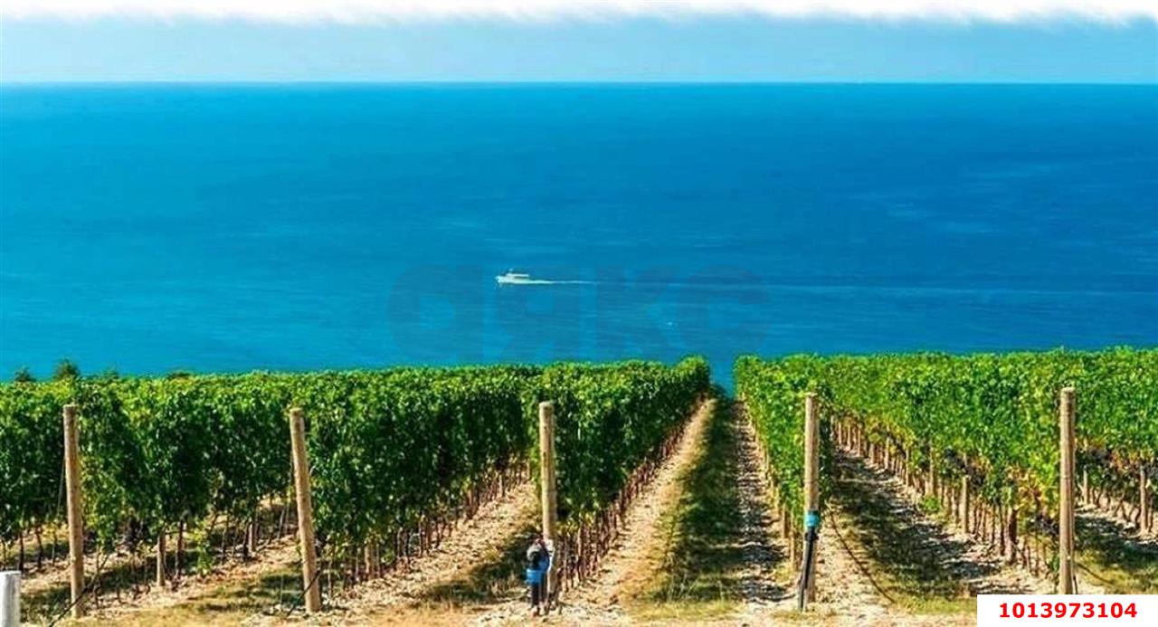 Фото №6: Дом 78 м² + 5 сот. - Кучугуры, Кожзавод, мкр. Западный внутригородской округ, ул. Приазовская, 2